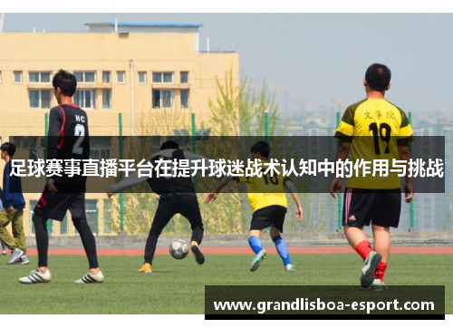 足球赛事直播平台在提升球迷战术认知中的作用与挑战